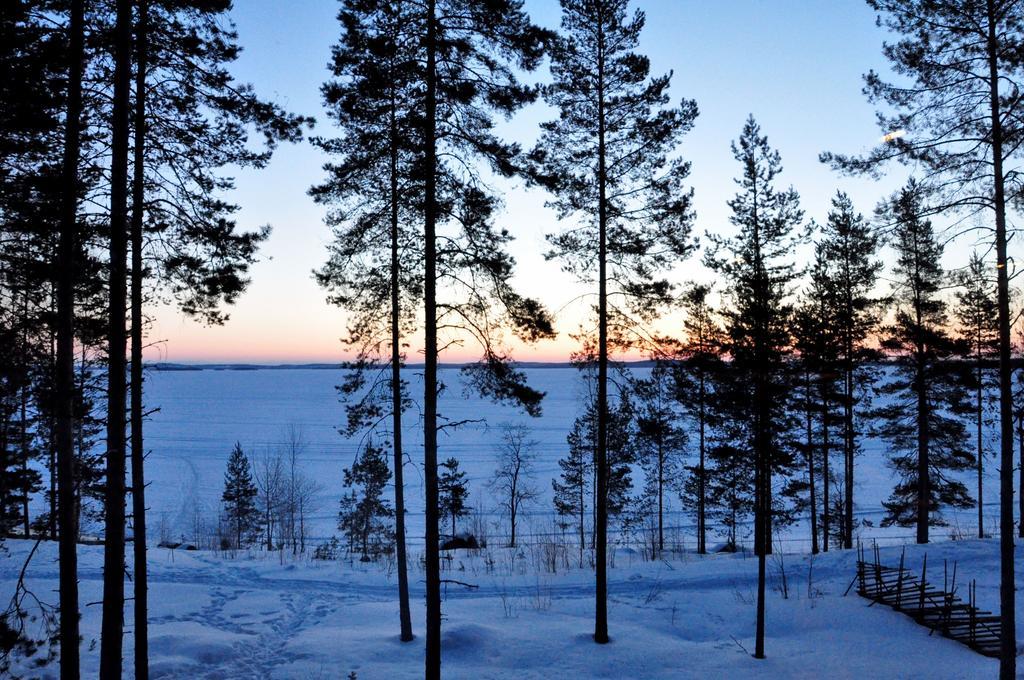 Вілла Kolinpilvi Koli  Номер фото